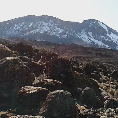 Climbing mount kilimanjaro trekking hiking active adventures epic tours safaris yha kenya travel mountain adventures tanzania tours 1
