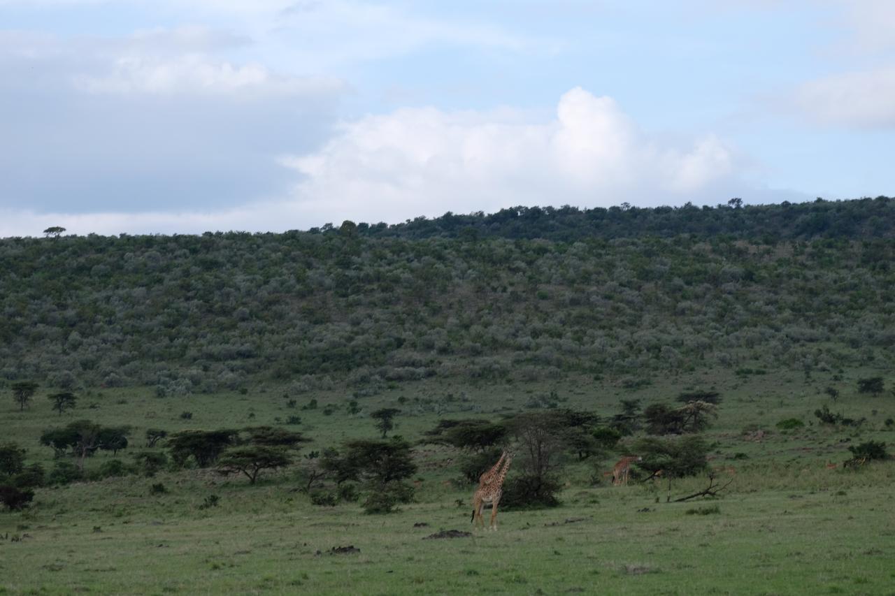 Balloon Rides, Things to do in Masai Mara, Masai Mara Balloon Ride.