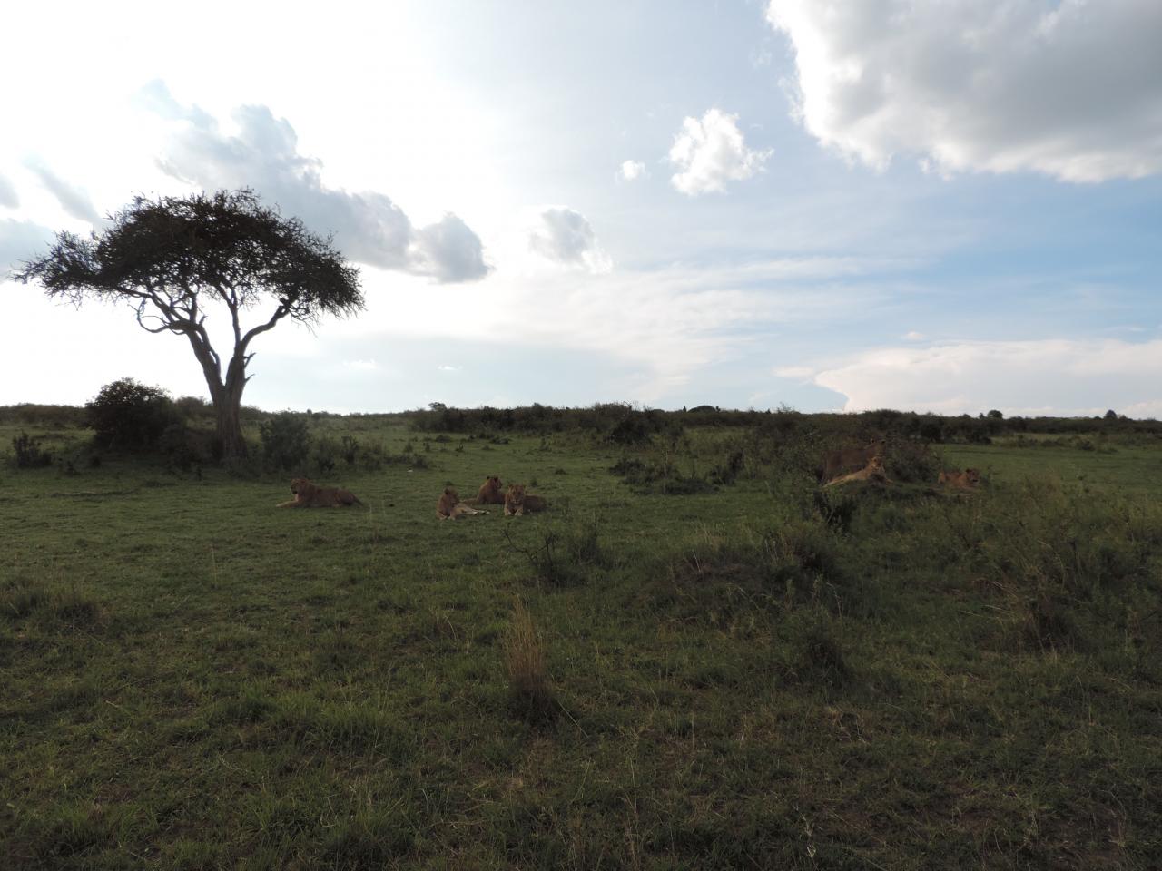 Kenya Adventure Safaris/ Kenya Safaris/Kenya Tours/Holidays.