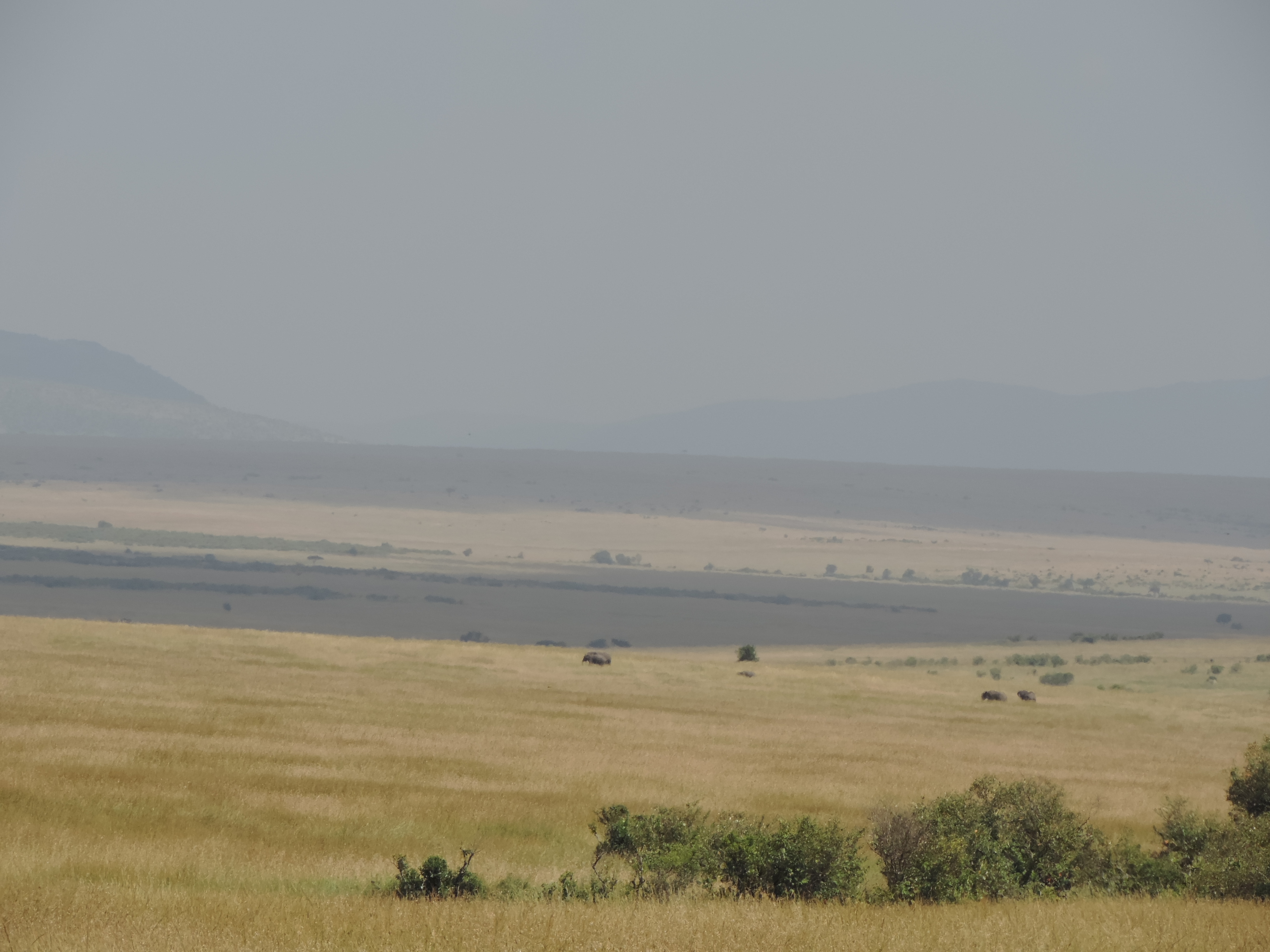  Kenya Adventure Safaris/YHA Kenya Travel Masai Mara Camping Tours.