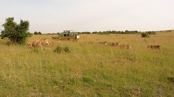 Kenya Budget Camping Safaris/ Kenya Short Safaris Booking Adventure.