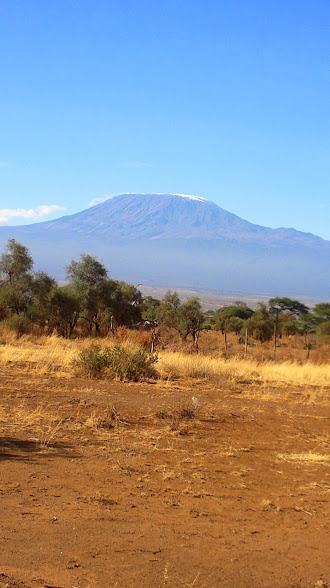 YHA Kenya Travel Wildlife Safari Amboseli views of Kilimanjaro.