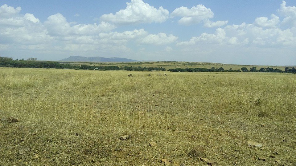 Masai Mara Game Reserve Kenya