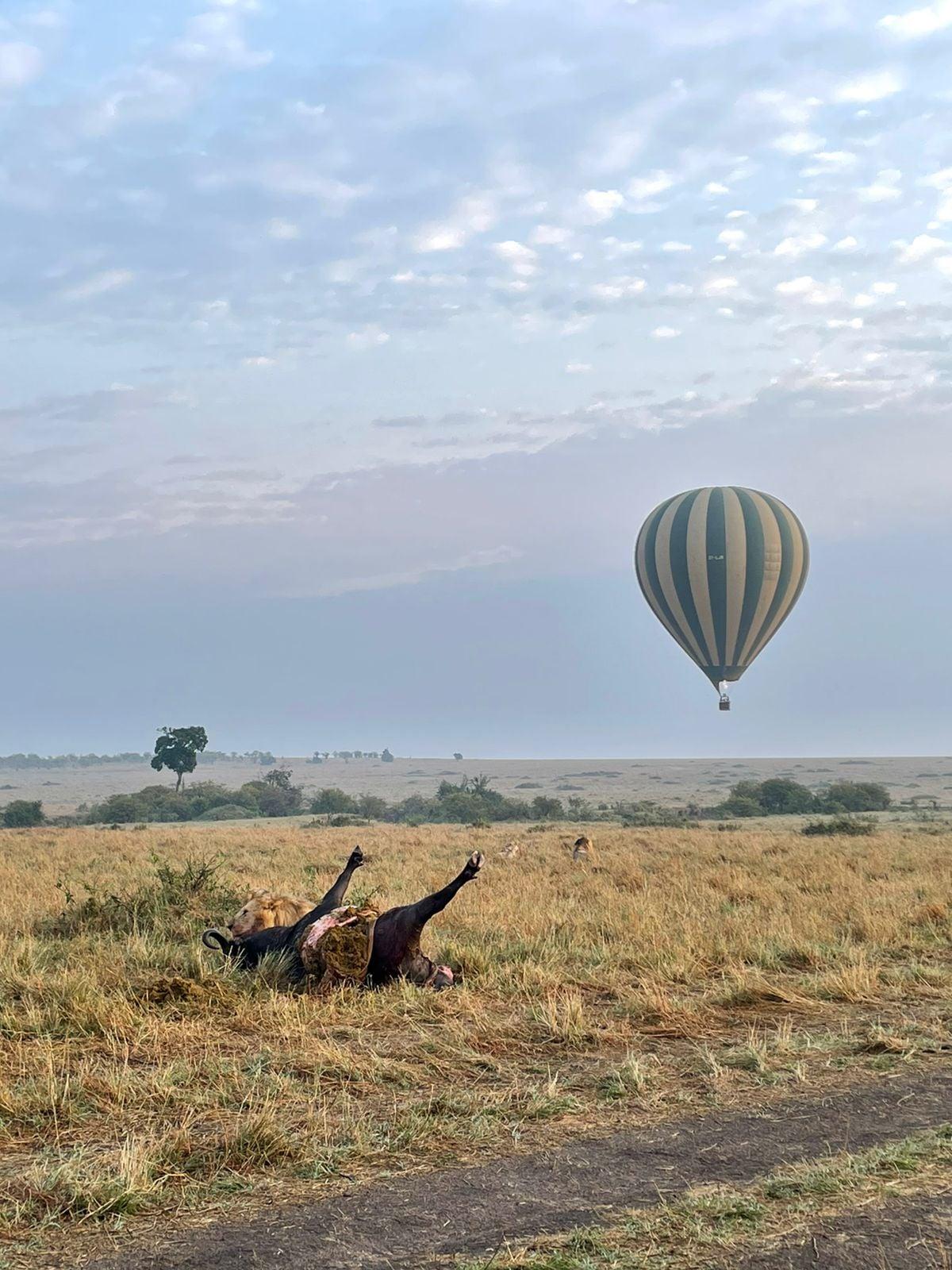 Balloon Safaris, Outdoor activities in Maasai Mara National Reserve, Balloon Rides, Things to do in Masai Mara, Masai Mara Balloon Ride, Balloon Safari Tours, Hot Air Balloon Safari in Kenya, Balloon Flight Rates,YHA Kenya Travel