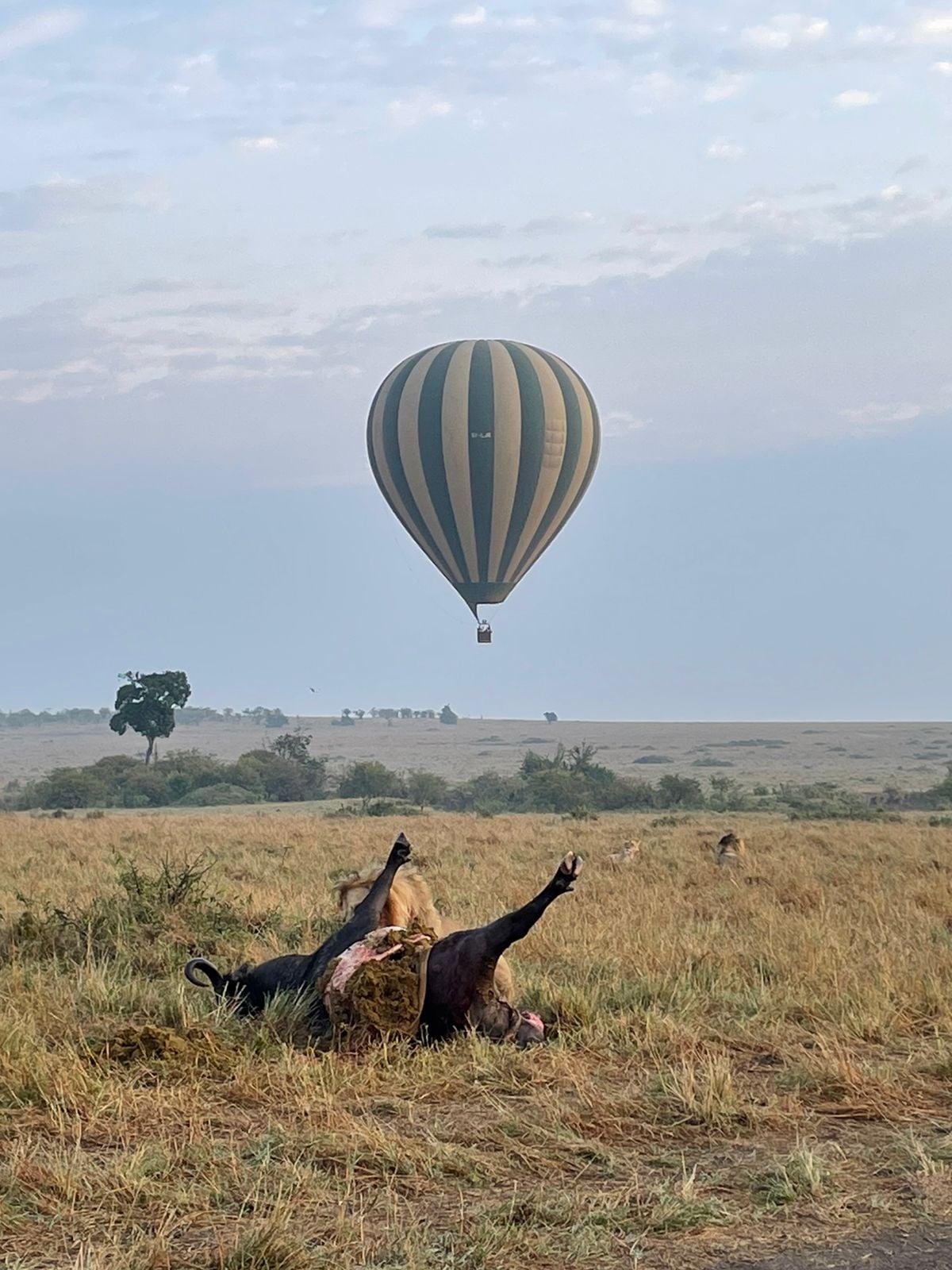 YHA Kenya Travel, Balloon Safaris, Balloon Safaris in Kenya, Activity Adventure, active adventure safari, active adventures, Balloon Safari, Kenya balloon safaris, Hot Air Balloon, Mara Hot Air Balloon, Safari Booking, Safari Bookings, Epic Tours Safaris