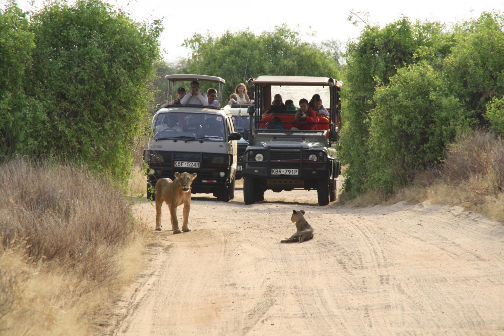 Kenya Budget Safaris, Budget Travel Experts,Active Adventures, African Budget Safaris, Kenya Adventure Safari.