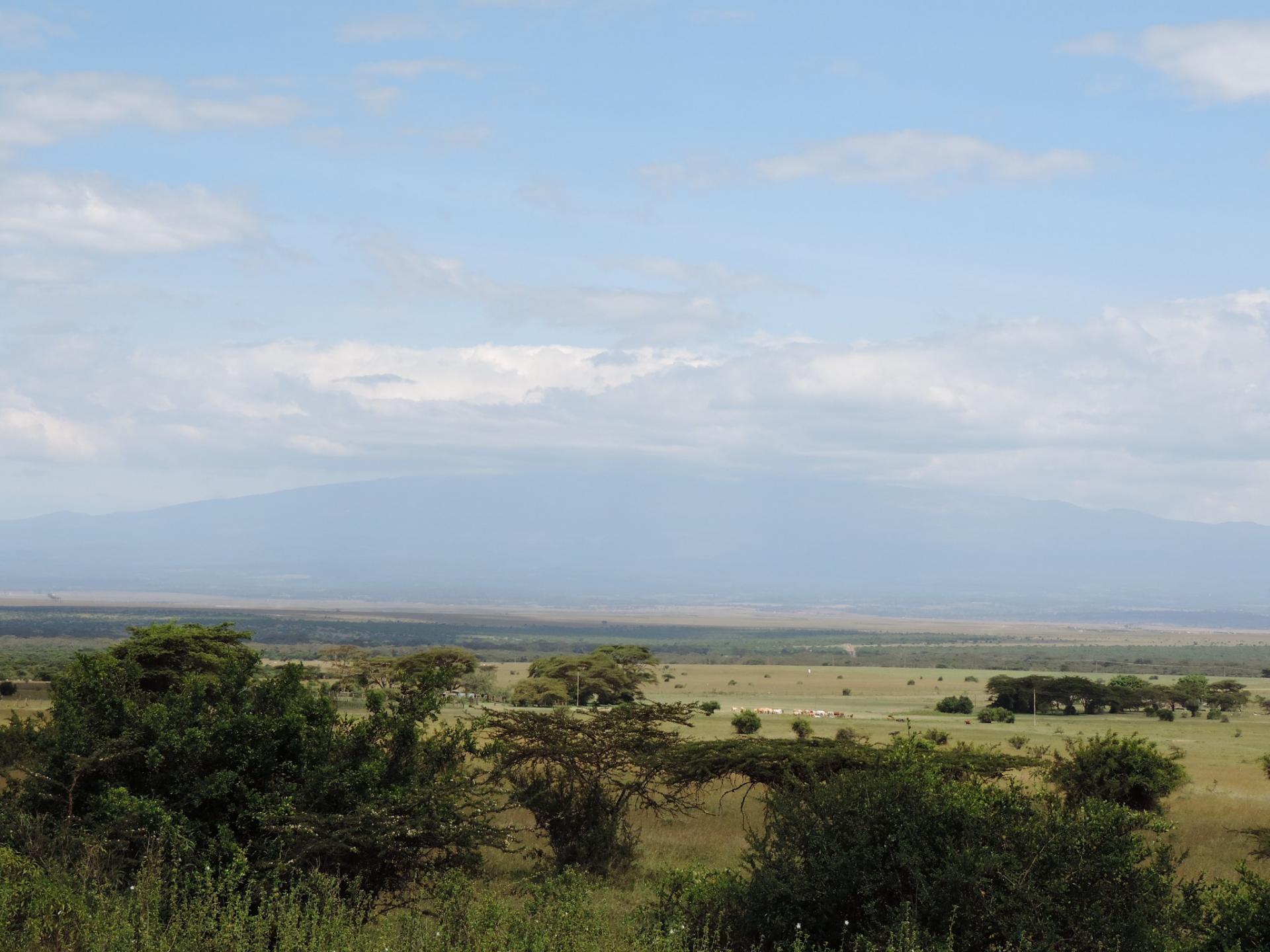 Kenya Short Safaris, YHA Kenya Travel, Adventure Safari Tours, Budget Camping Safaris,Short Tours Safari Bookings, 