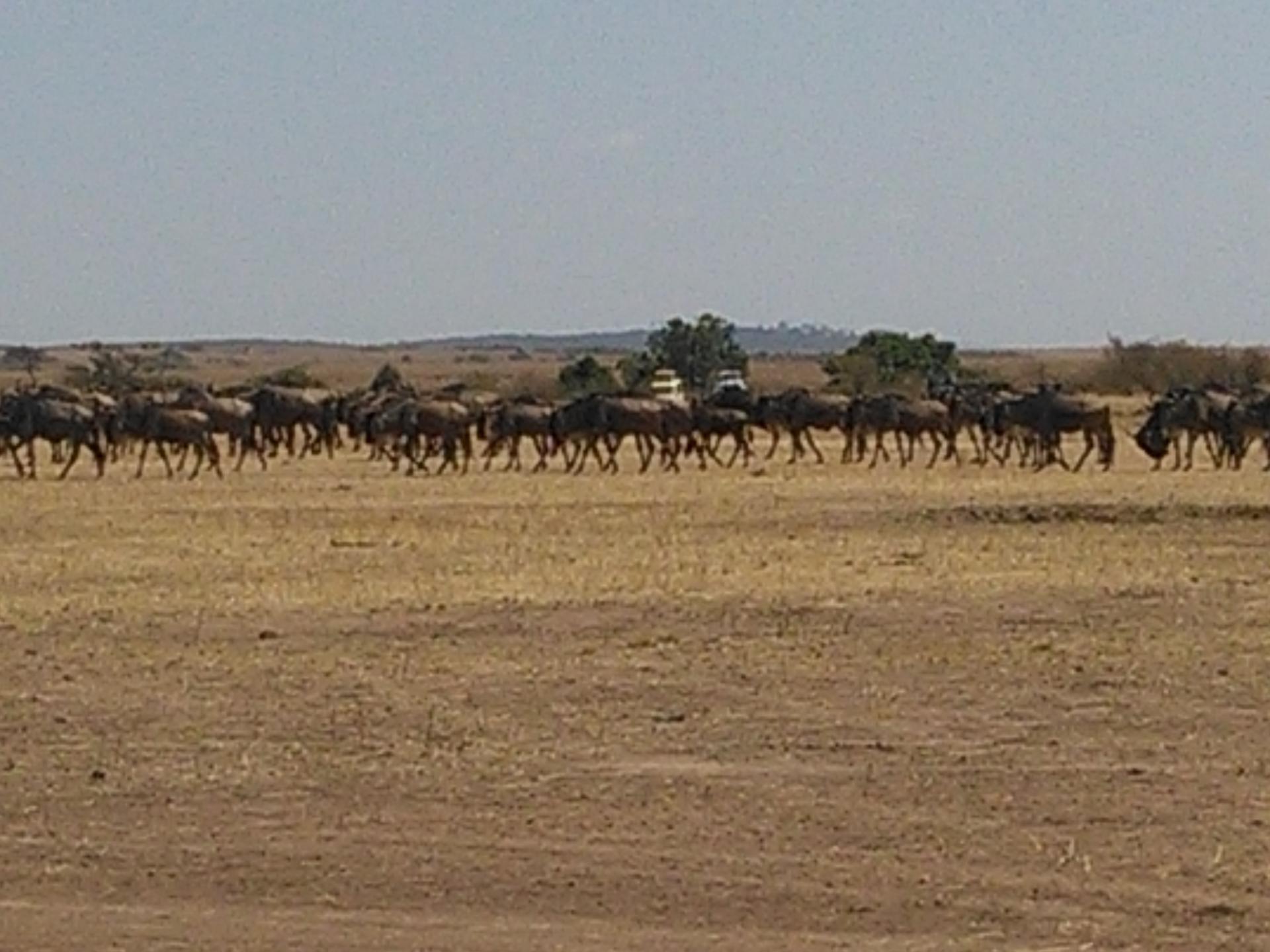 YHA-Kenya Travel Packages.