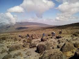 Mt kilimanjaro 4