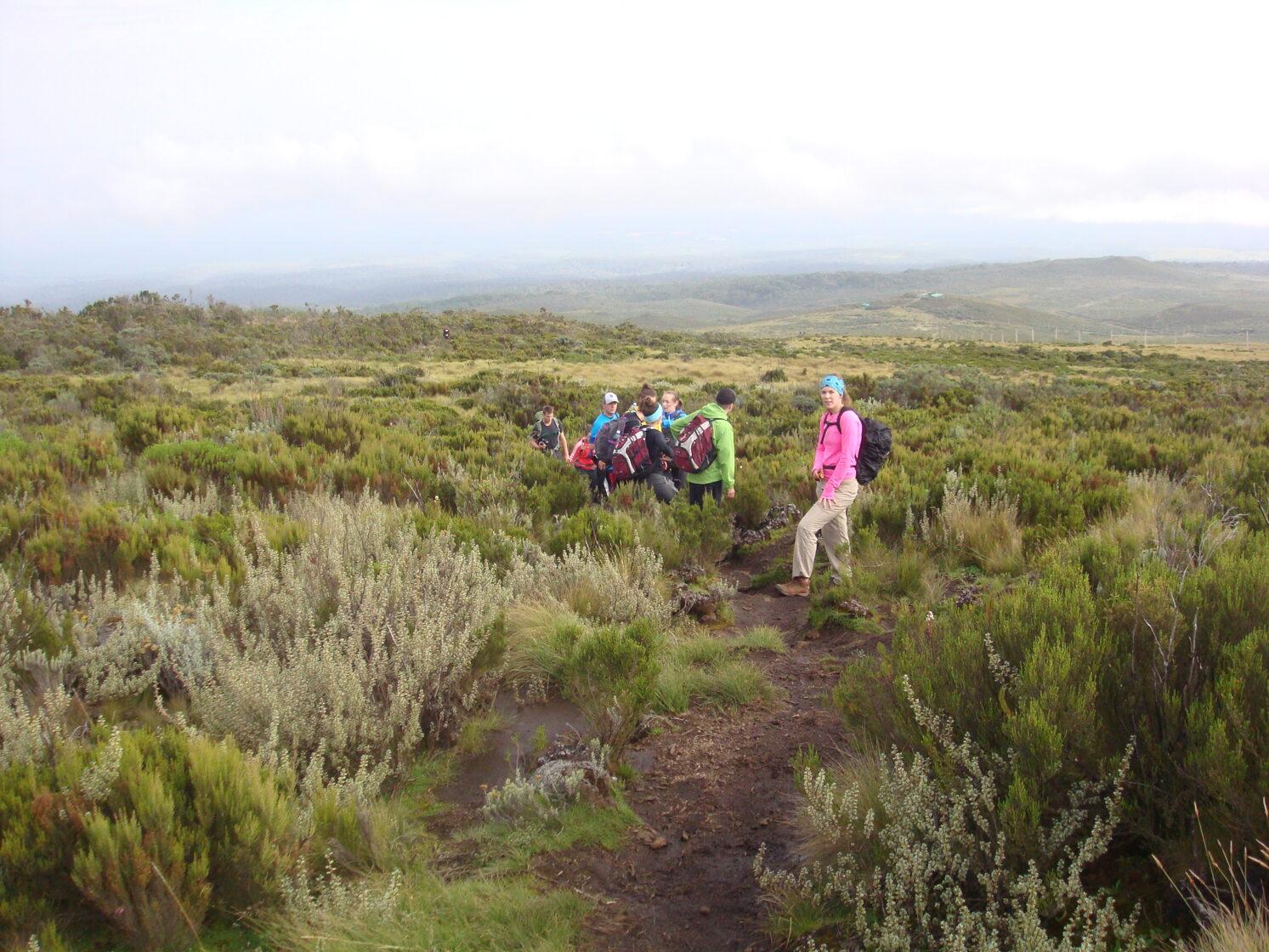 Mount Kenya Trekking Adventure/Trekking Tour Packages/ YHA Kenya Travel/Small Group Adventures Summit Trek Routes.
