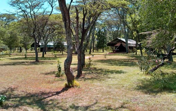 Siana Springs Camp-Group Guided YHA Kenya Travel-Tanzania Safaris Adventure- Tours -Budget- Luxury lodges-Camping- Packages.