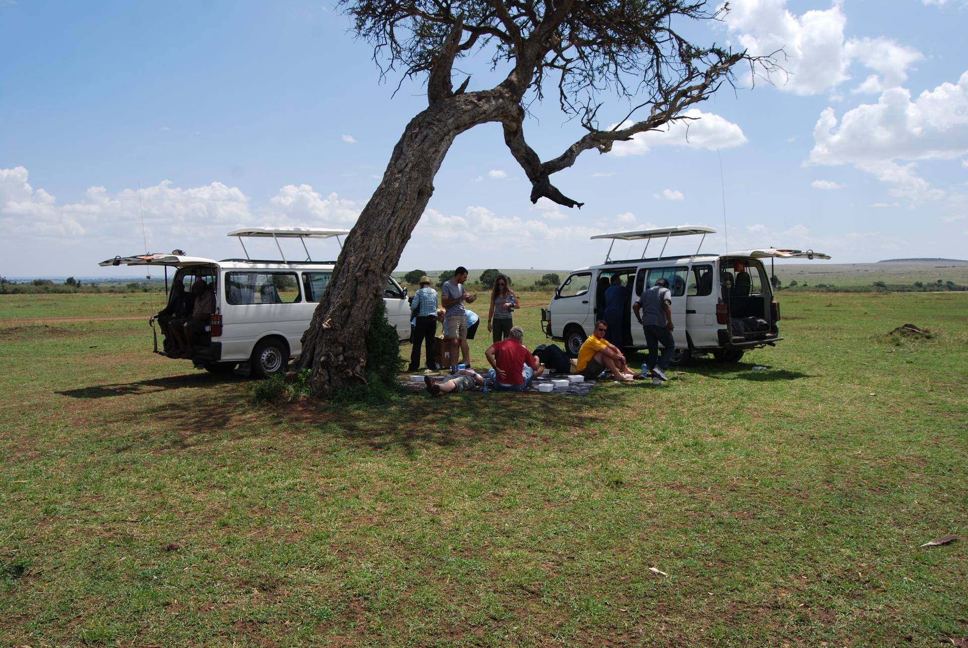 Private or Small Group Wildlife Safaris in Kenya/YHA Kenya Travel/ Active Adventures/ Budget Tours Package Masai Mara.