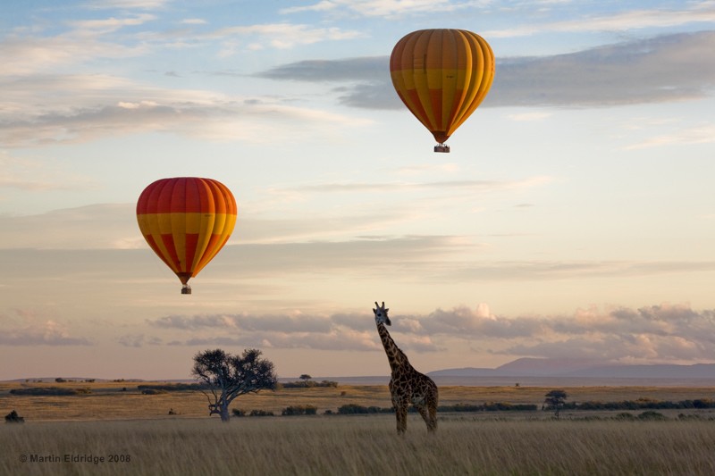 YHA Kenya Travel, Hot Air Balloon Safaris, Balloon Safaris, Air Balloon Safari Adventure, Balloon Flights, Best Kenya Balloon Safari, Maasai Mara Balloon Safaris.